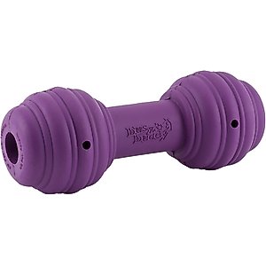 PetSafe Busy Buddy Chuckle Squeaky Treat Dispenser Dog Toy, Medium/Large