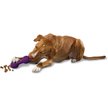 Show in main carousel: PetSafe Busy Buddy Chuckle Squeaky Treat Dispenser Dog Toy, Medium/Large slide 3 of 9