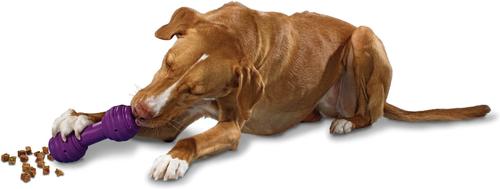 Show full view: PetSafe Busy Buddy Chuckle Squeaky Treat Dispenser Dog Toy, Medium/Large slide 3 of 9