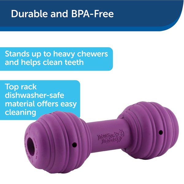 Show full view: PetSafe Busy Buddy Chuckle Squeaky Treat Dispenser Dog Toy, Medium/Large slide 5 of 9