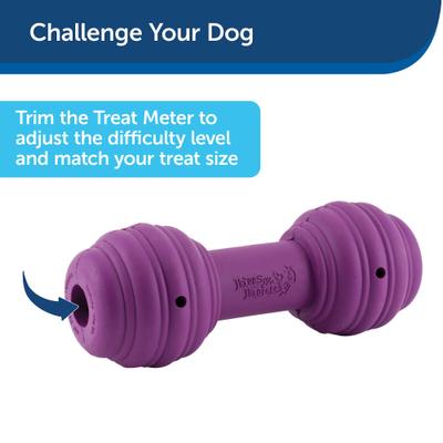 Show full view: PetSafe Busy Buddy Chuckle Squeaky Treat Dispenser Dog Toy, Medium/Large slide 6 of 9