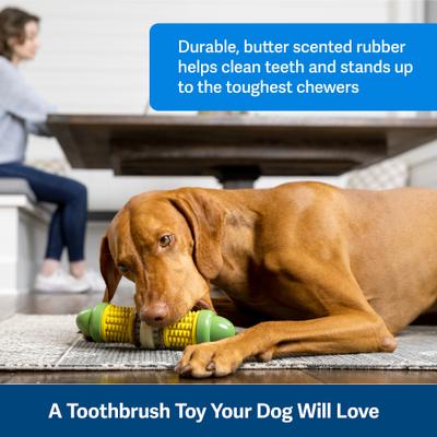 Show full view: PetSafe Busy Buddy Cravin’ Corncob Chew Dog Toy, Medium/Large  slide 3 of 10