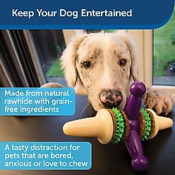 PetSafe Busy Buddy Jack Treat Dispenser Tough Dog Chew Toy, Large, Purple slide 2 of 6
