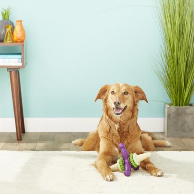 Show full view: PetSafe Busy Buddy Jack Treat Dispenser Tough Dog Chew Toy, Large, Purple slide 3 of 9