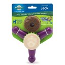 PetSafe Busy Buddy Jack Treat Dispenser Tough Dog Chew Toy, Medium, Purple