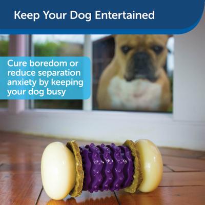 Show full view: PetSafe Busy Buddy Nobbly Nubbly Treat Dispensing Tough Dog Chew Toy, Large, Purple slide 4 of 10