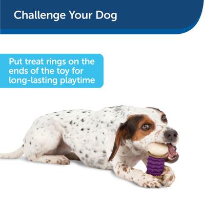 Show full view: PetSafe Busy Buddy Nobbly Nubbly Treat Dispensing Tough Dog Chew Toy, Large, Purple slide 7 of 10