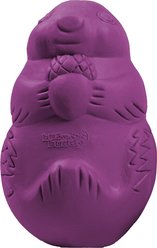 PetSafe Busy Buddy Squirrel Dude Treat Dispenser Tough Dog Chew Toy, Small