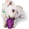 Show in main carousel: PetSafe Busy Buddy Squirrel Dude Treat Dispenser Tough Dog Chew Toy, Small slide 4 of 10