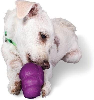 Show full view: PetSafe Busy Buddy Squirrel Dude Treat Dispenser Tough Dog Chew Toy, Small slide 4 of 10