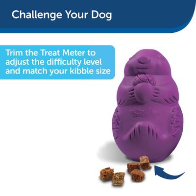 Show full view: PetSafe Busy Buddy Squirrel Dude Treat Dispenser Tough Dog Chew Toy, Small slide 7 of 10