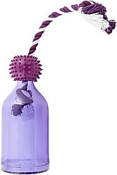 PetSafe Busy Buddy Tug-A-Jug Treat Dispenser Tough Dog Chew Toy, Small