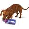 Show in main carousel: PetSafe Busy Buddy Tug-A-Jug Treat Dispenser Tough Dog Chew Toy, Small slide 3 of 11