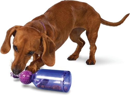 Show full view: PetSafe Busy Buddy Tug-A-Jug Treat Dispenser Tough Dog Chew Toy, Small slide 3 of 11