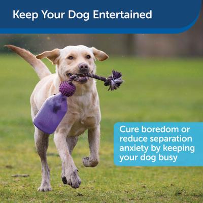 Show full view: PetSafe Busy Buddy Tug-A-Jug Treat Dispenser Tough Dog Chew Toy, Small slide 4 of 11