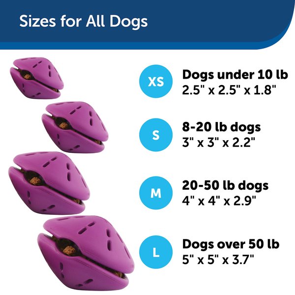 PetSafe Busy Buddy Rip 'N Tug Lotus Dog Toy