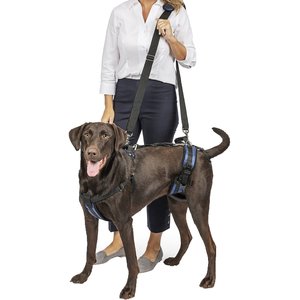 PetSafe CareLift Handicapped Support Dog Harness, Large