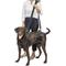 Show in main carousel: PetSafe CareLift Handicapped Support Dog Harness, Large slide 1 of 11
