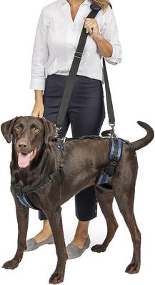 Disabled Pet Gear Dog Support & Rehabilitation Harness - Nylon Lift Aid Sling, USA Shipper
