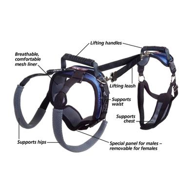 Show full view: PetSafe CareLift Handicapped Support Dog Harness, Large slide 3 of 11