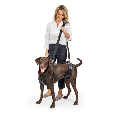 PetSafe CareLift Front & Back Lifting Aid Mobility Harness, Large, Blue, Solvit