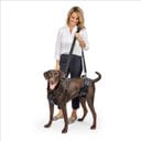 PetSafe CareLift Handicapped Support Dog Harness, Large