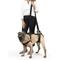 Show in main carousel: PetSafe CareLift Handicapped Support Dog Harness, Medium slide 5 of 11