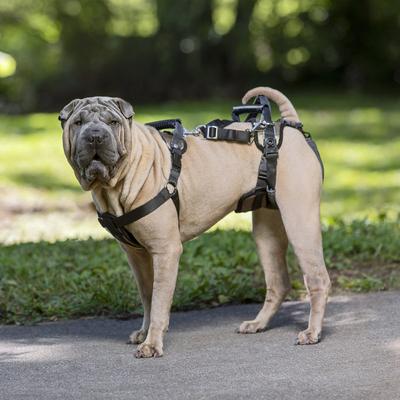 Show full view: PetSafe CareLift Handicapped Support Dog Harness, Medium slide 6 of 11