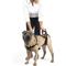 Show in main carousel: PetSafe CareLift Handicapped Support Dog Harness, Medium slide 7 of 11