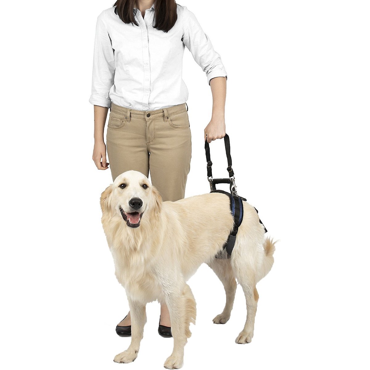 Solvit CareLift Rear Portion Lifting Aid Dog Harness, Large Blue