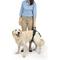 Show in main carousel: PetSafe CareLift Rear Handicapped Support Dog Harness, Large slide 2 of 8