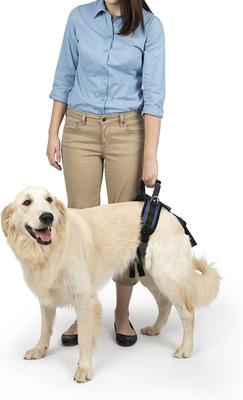 Show full view: PetSafe CareLift Rear Handicapped Support Dog Harness, Large slide 2 of 8