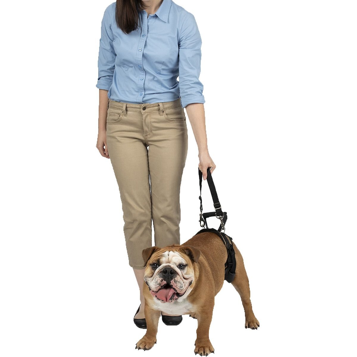 CareLift Rear Portion Lifting Aid Mobility Harness, Medium, Brown