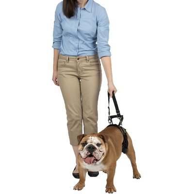 PetSafe CareLift Rear Portion Lifting Aid Mobility Harness, Medium, Brown