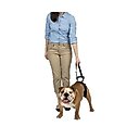 PetSafe CareLift Rear Handicapped Support Dog Harness, Medium