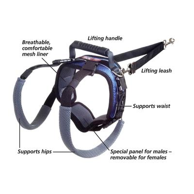 Show full view: PetSafe CareLift Rear Handicapped Support Dog Harness, Medium slide 4 of 8