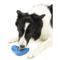 Show in main carousel: PetSafe Chilly Penguin Freezable Treat Holding Dog Toy, Medium/Large slide 3 of 8