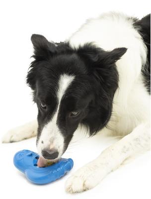 Show full view: PetSafe Chilly Penguin Freezable Treat Holding Dog Toy, Medium/Large slide 3 of 8