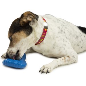 PetSafe Chilly Penguin Freezable Treat Holding Dog Toy, Small