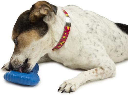Show full view: PetSafe Chilly Penguin Freezable Treat Holding Dog Toy, Small slide 3 of 8
