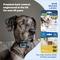 Show in main carousel: PetSafe Citronella Replacement Spray Cartridges for Spray Dog Bark & Training Collar, 3 count slide 5 of 7