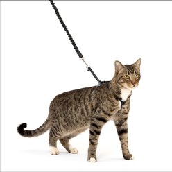 PetSafe Come with Me Kitty Nylon Cat Harness & Bungee Leash, Black/Silver, Large: 13 to 18-in chest