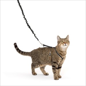 PetSafe Come with Me Kitty Nylon Cat Harness & Bungee Leash, Black/Silver, Small: 9 to 11-in chest