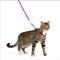 Show in main carousel: PetSafe Come with Me Kitty Nylon Cat Harness & Bungee Leash, Dusty Rose/Burgundy, Large: 13 to 18-in chest slide 1 of 9