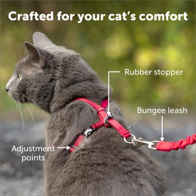 Show full view: PetSafe Come with Me Kitty Nylon Cat Harness & Bungee Leash, Dusty Rose/Burgundy, Small: 9 to 11-in chest slide 4 of 9
