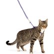 Show in main carousel: PetSafe Come with Me Kitty Nylon Cat Harness & Bungee Leash, Lilac/Deep Purple, Large: 13 to 18-in chest slide 1 of 9