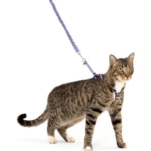 PetSafe Come with Me Kitty Nylon Cat Harness & Bungee Leash, Lilac/Deep Purple, Large: 13 to 18-in chest