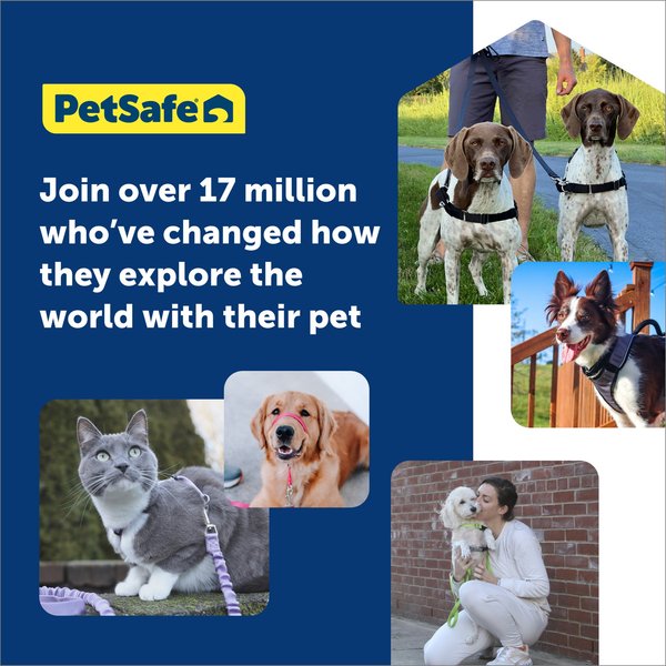 Show full view: PetSafe Come with Me Kitty Nylon Cat Harness & Bungee Leash, Lilac/Deep Purple, Large: 13 to 18-in chest slide 6 of 9