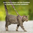 Show in main carousel: PetSafe Come with Me Kitty Nylon Cat Harness & Bungee Leash, Lilac/Deep Purple, Large: 13 to 18-in chest slide 2 of 9
