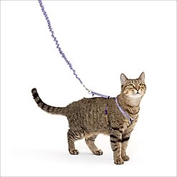 PetSafe Come with Me Kitty Nylon Cat Harness & Bungee Leash, Lilac/Deep Purple, Medium: 10.5 to 14-in chest slide 1 of 6